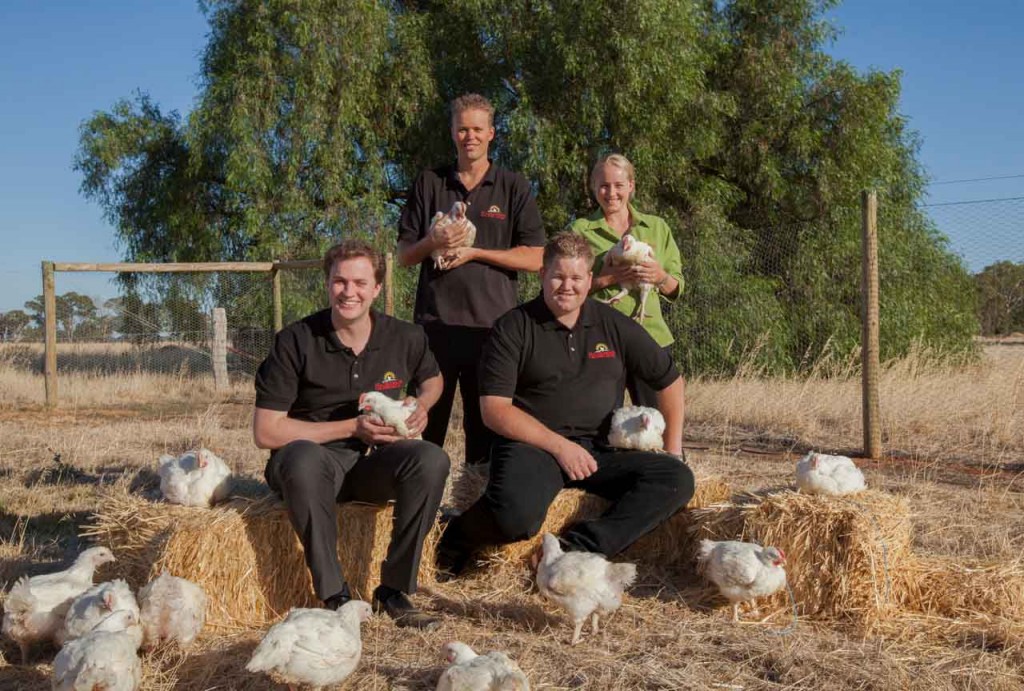 Happy Chickens Hazeldenes Chickens